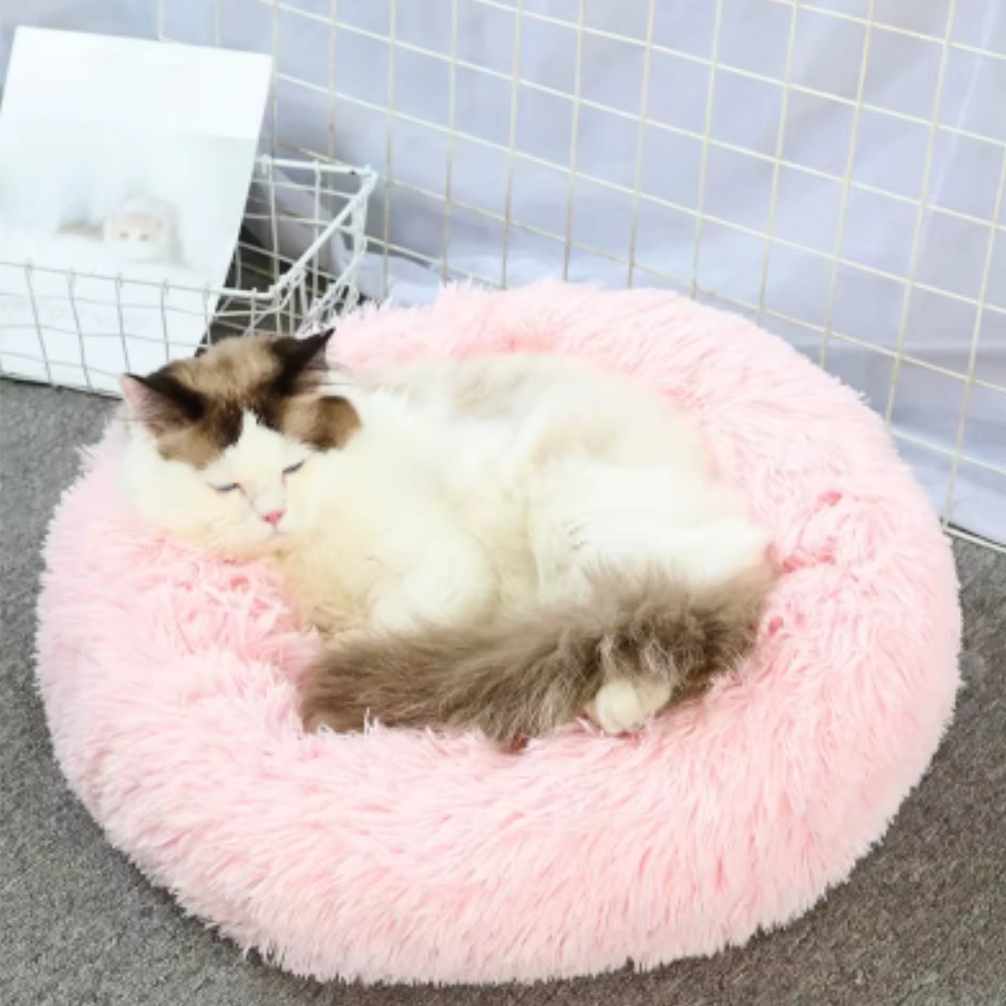 Round Pet Cushion Bed